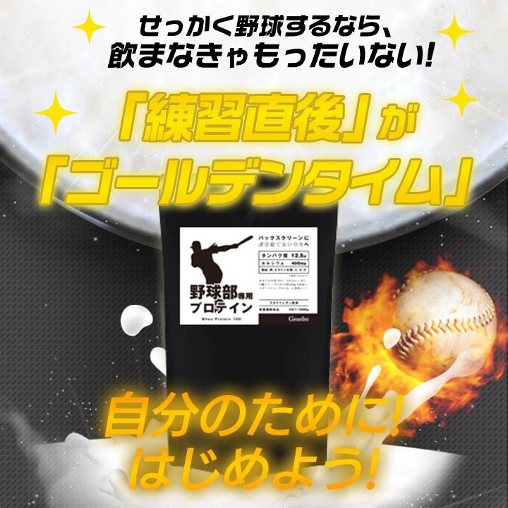 プロテイン ホエイプロテイン 野球部専用プロテイン 1kg 2袋 バニラ 1 