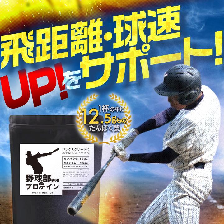 プロテイン ホエイプロテイン 野球部専用プロテイン 1kg 2袋 バニラ 1 