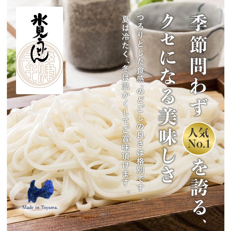 氷見うどん 海津屋 乾麺 細麺 200g 10本 化粧箱 贈答用 贈り物 手土産