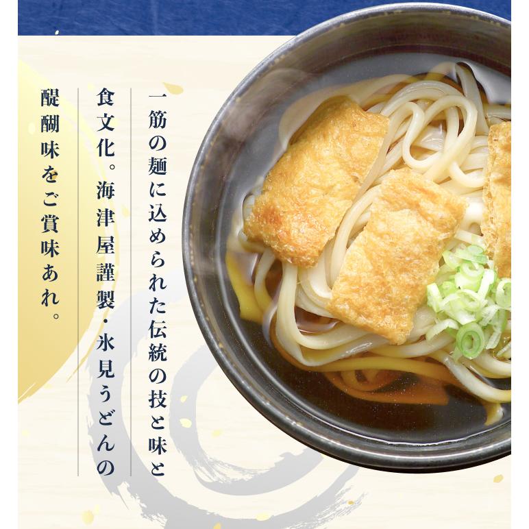 氷見うどん 海津屋 乾麺 細麺 200g 10本 化粧箱なし 手延べ うどん