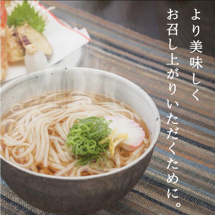 氷見うどん 海津屋 乾麺 細麺 200g 10本 化粧箱なし 手延べ うどん