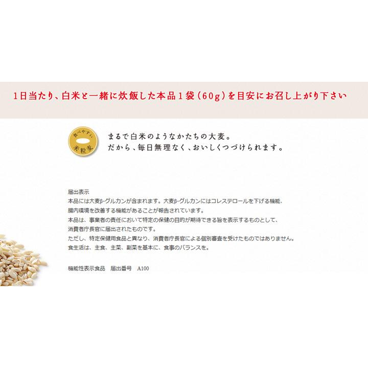 もち麦 大麦効果 360g(60g×6袋) 6袋セット 機能性表示食品 米粒状 米粒 
