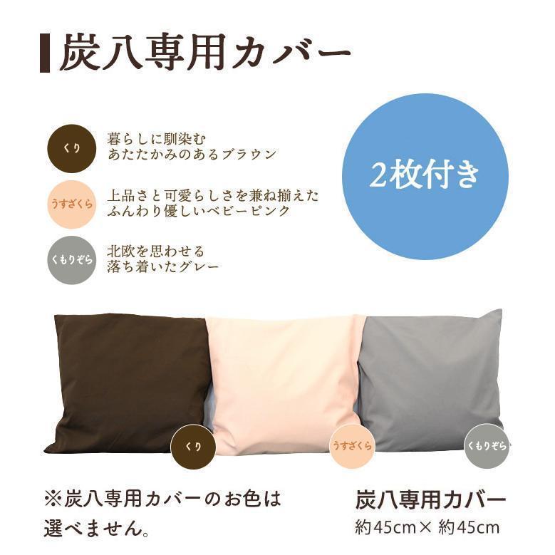 出雲屋炭八 炭八 12l 福袋 15点セット 大袋 小袋 湿気取り 除湿剤 消臭