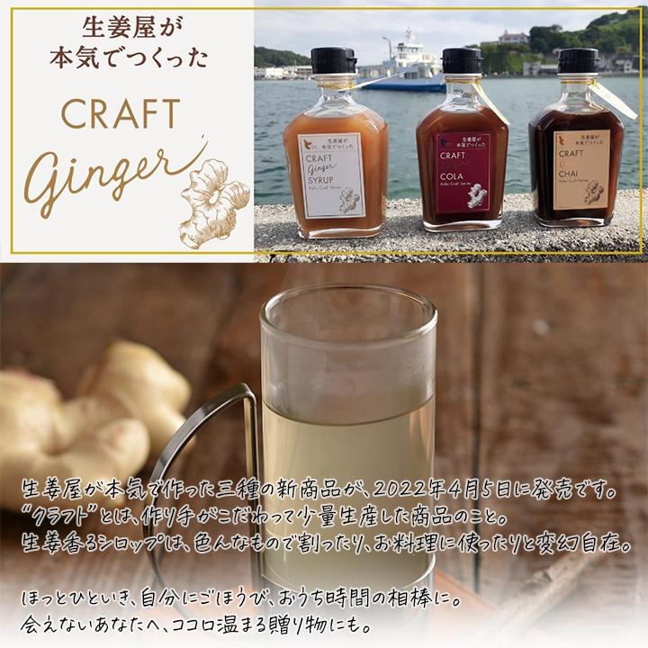 クラフトジンジャー 3本 200ml シロップ コーラ チャイ 生姜屋が本気で