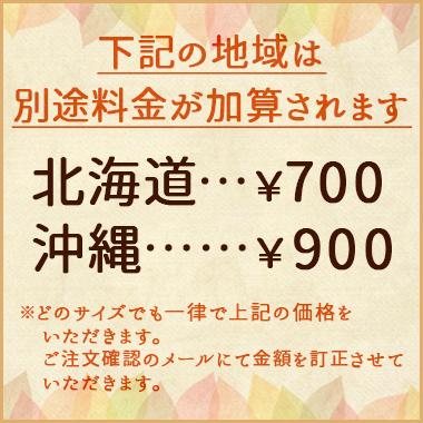 加美乃素 薬用シャンプー＆コンディショナー各3本セット 300ml [北海道・沖縄は追加送料][80]｜granire｜02