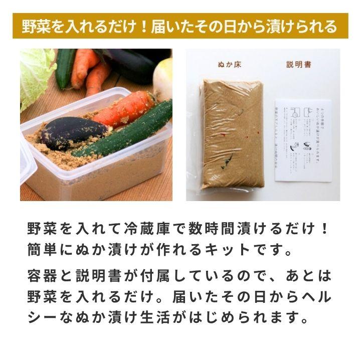 金沢大地 わたしのぬか床 セット ぬか床1kg タッパー たしぬか付 有機