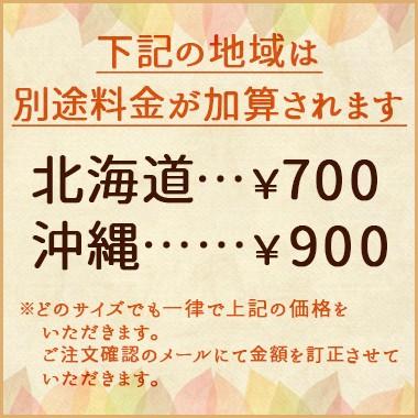 賞味期限 21年11月末 明治ほほえみ らくらくミルク240ml 24本 液体ミルク 調製液体乳 非常用 簡単 送料無料 100 Kk Meijihohoemi 02 グラニーレy 通販 Yahoo ショッピング