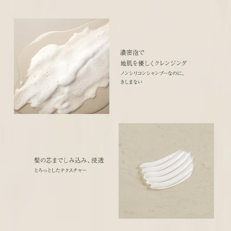 WANOMI 和の実 シャンプー トリートメント うるつや パサつく髪用 本体