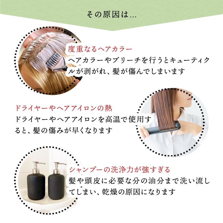 HONEY PLUS ハニープラス セット スムース＆リペアシャンプー 1本