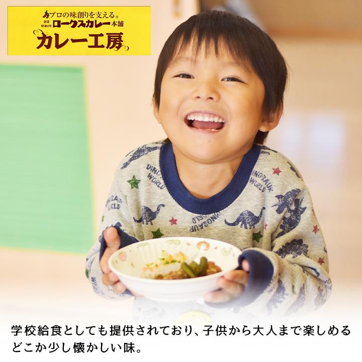 カレールー 粉末タイプ アレルゲンフリー グルテンフリー ロークスカレー本舗 大地の野菜カレールウ 150g 30袋セット 甘口・中辛 小麦粉不使用｜granire｜04