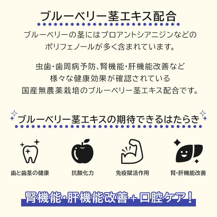 犬 猫 サプリ ペット サプリメント 腎臓サポート 肝臓サポート 腎生