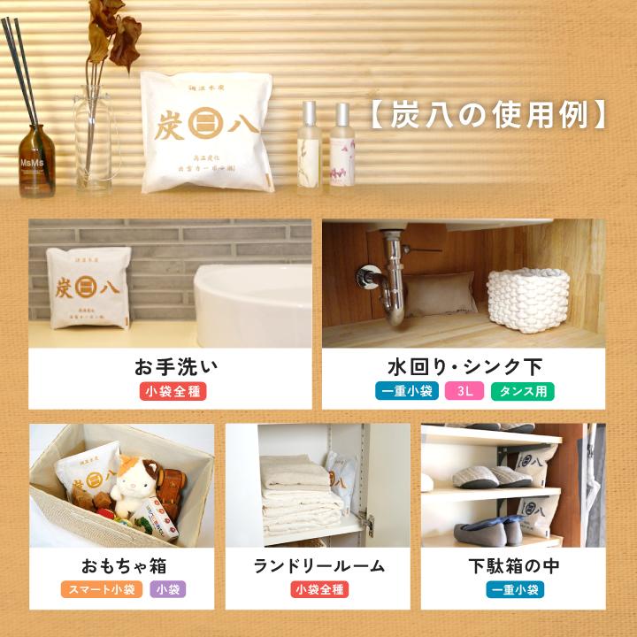 出雲屋炭八 炭八 小袋 スマート小袋 10袋 セット ミニ 湿気取り 除湿剤