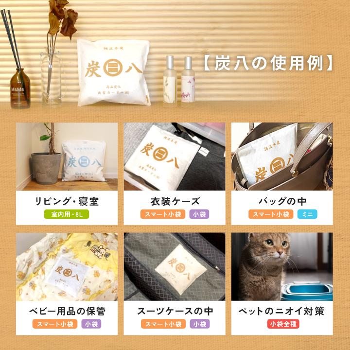 出雲屋炭八 炭八 小袋 スマート小袋 10袋 セット ミニ 湿気取り 除湿剤