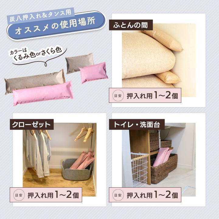 出雲屋炭八 特典付 炭八 タンス用 1L 10袋セット 除湿剤 湿気取り 