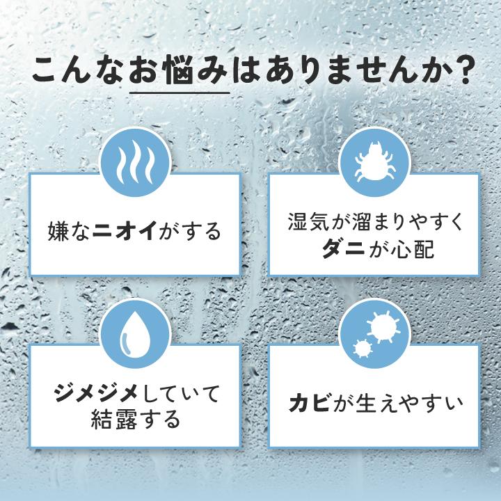 出雲屋炭八 炭八 大袋 4袋セット 12l 室内用 除湿剤 結露防止 結露対策