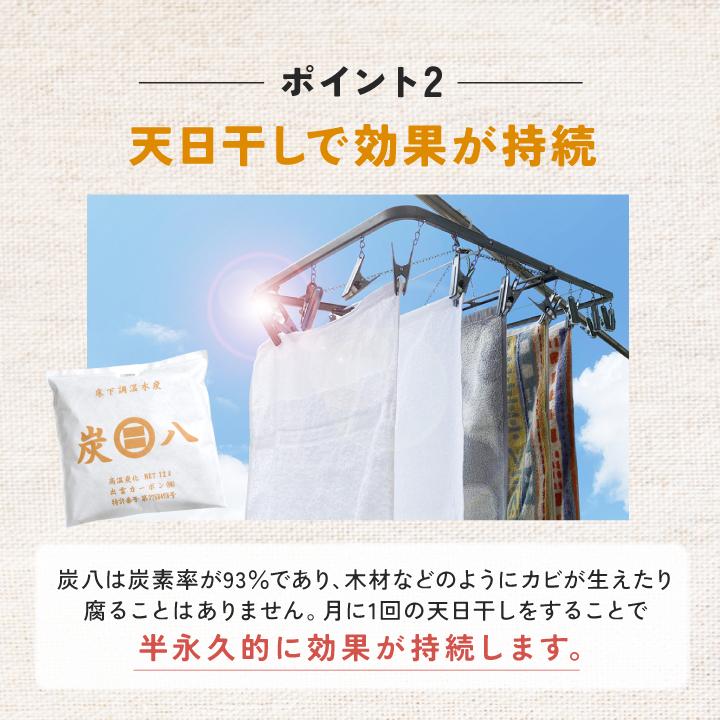 出雲屋炭八 炭八 一重小袋 5袋セット 0.7l 当店専売商品 小袋 除湿剤