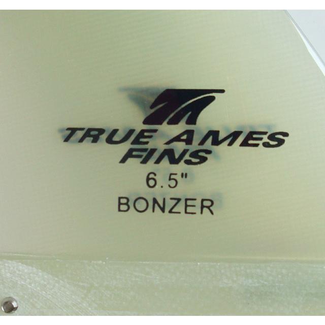 TRUE AMES FIN 6.5