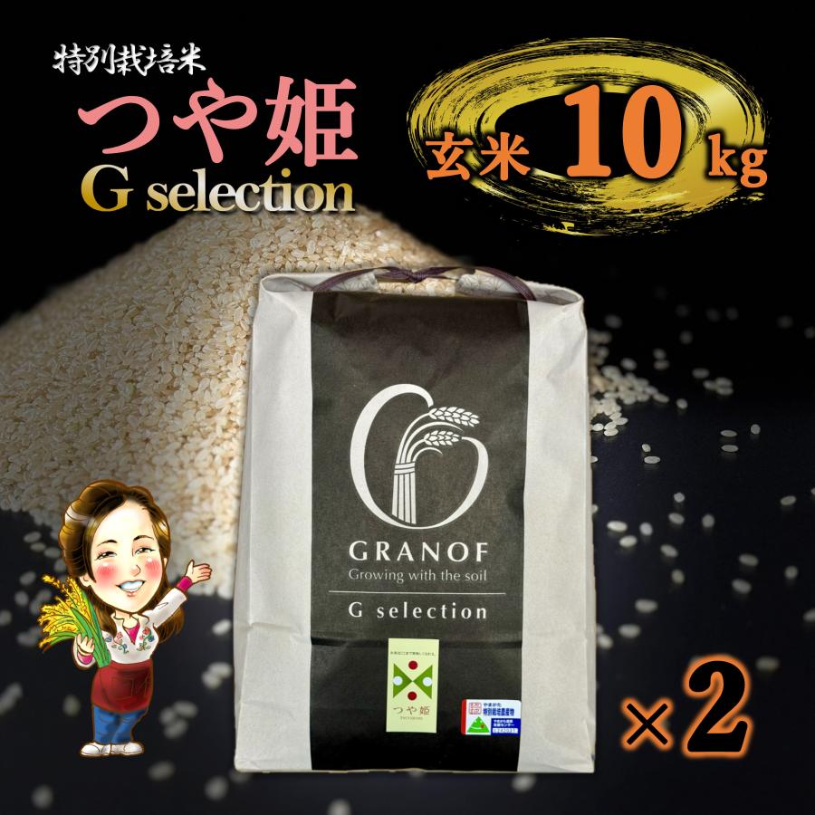 つや姫 新米予約 令和8年産 山形県庄内産 玄米10kg(5kg×2) G