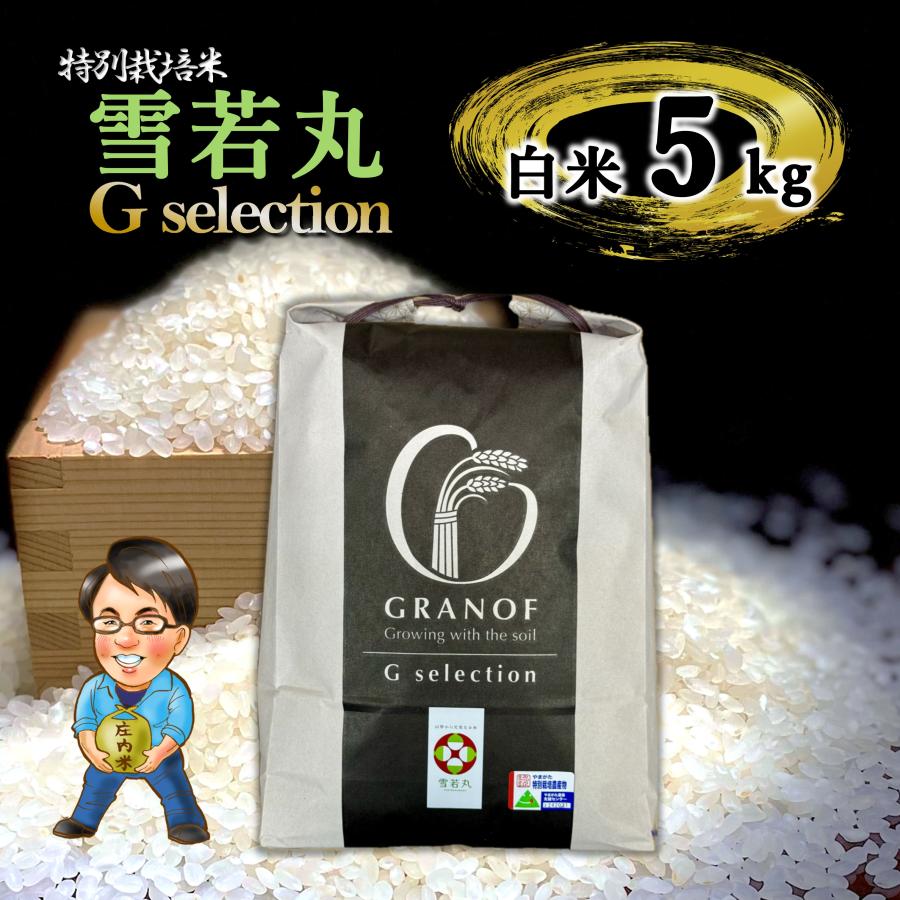 食品 雪若丸 20kg 山形 特別栽培米 令和4年産
