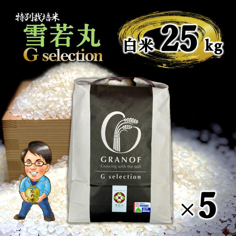 中米】令和3年新米 山形県庄内産 中粒米 白米25kg 中米】令和3年新米
