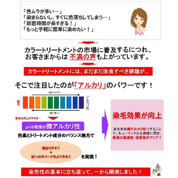 Calla SCALP HAIR COLOR TREATMENT カラースキャルプヘアカラー