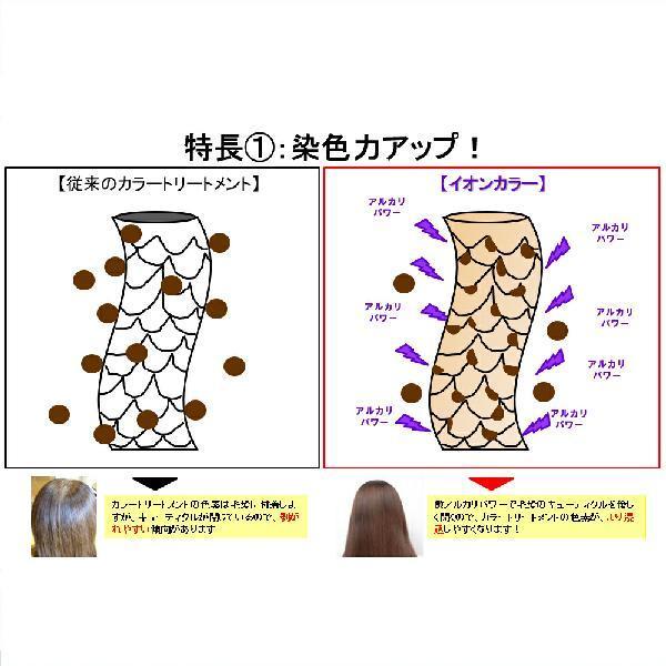 Calla SCALP HAIR COLOR TREATMENT カラースキャルプヘアカラー