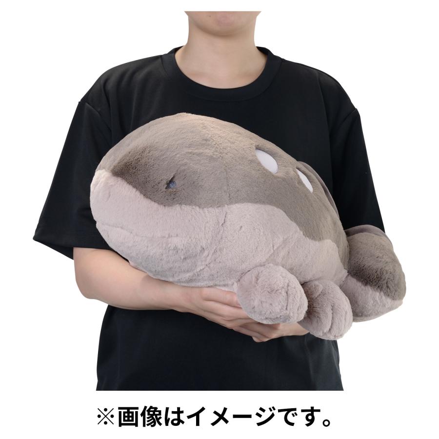 Pokemon（ポケモン） ポケモンセンターオリジナル ふわふわ抱き