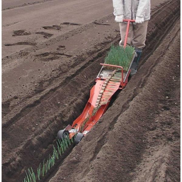 引き取り限定】ひっぱりくん