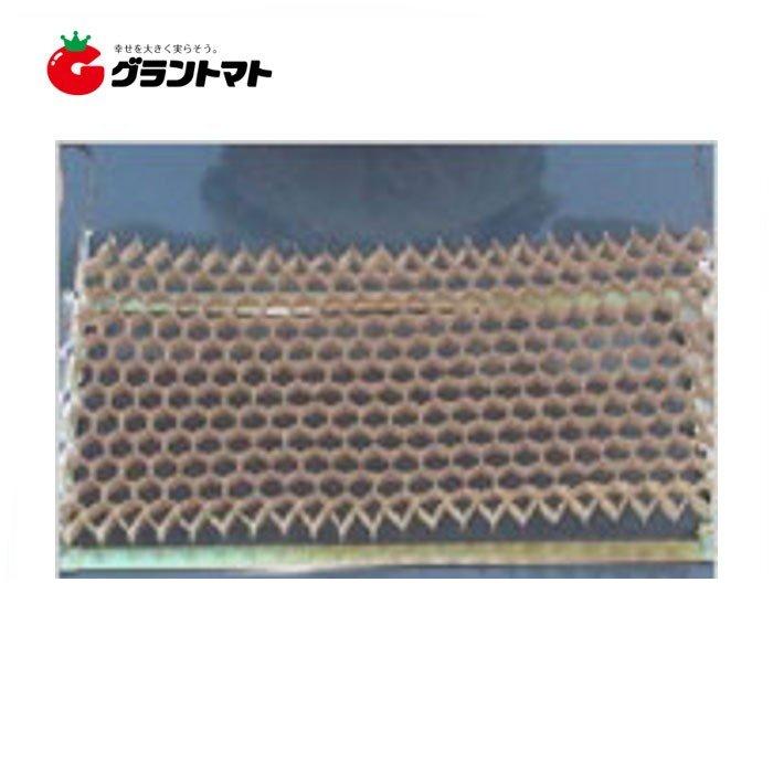 10/25限定ポイント3倍 ロングピッチチェーンポット LP-303-10 箱