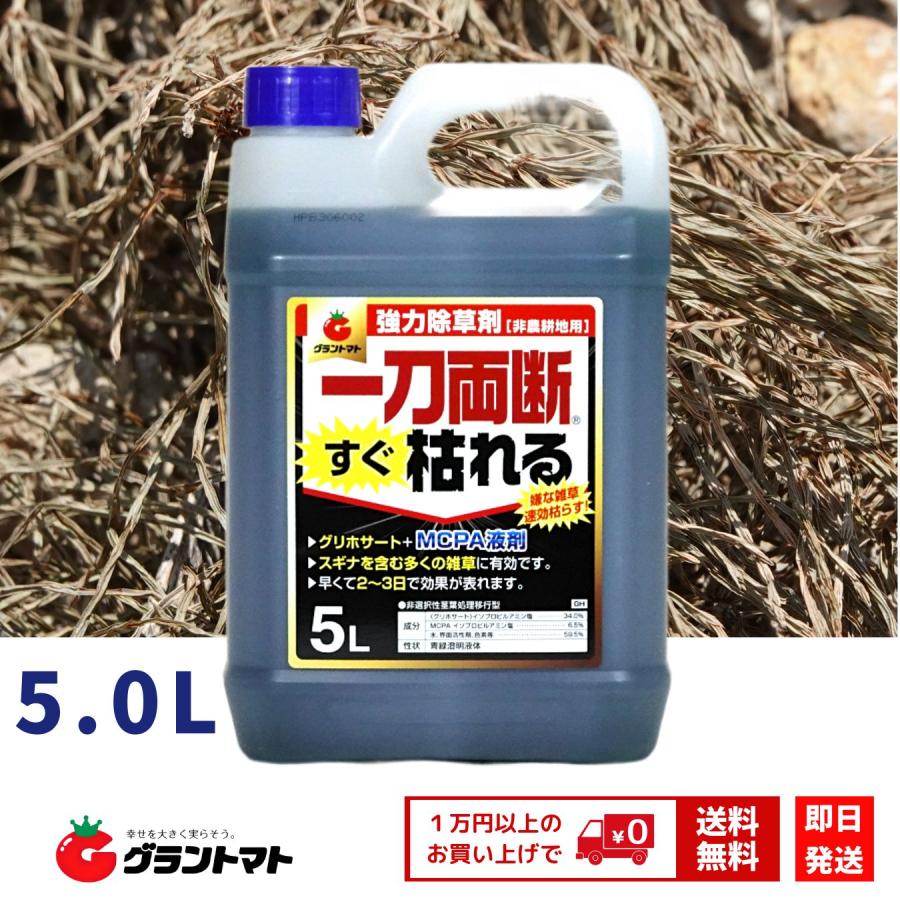 一刀両断すぐ枯れる 除草剤 5L グリホサート MCP 配合 速攻タイプ 非