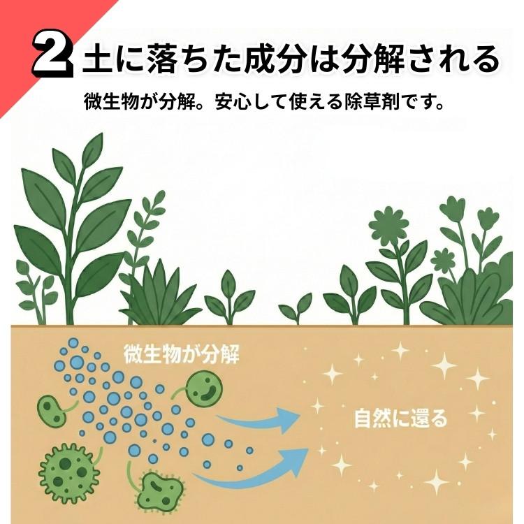 一刀両断 500ml 除草剤 グリホサート41% 非農耕地 希釈 根枯らし 庭