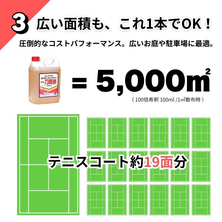 一刀両断 除草剤 5L×4本 グリホサート41% 非農耕地用 希釈 液体 駐車場