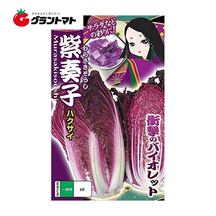 93 Off 送料無料 紫奏子 白菜 40粒 野菜種子 小袋 ナント種苗 ネコポス Whitesforracialequity Org