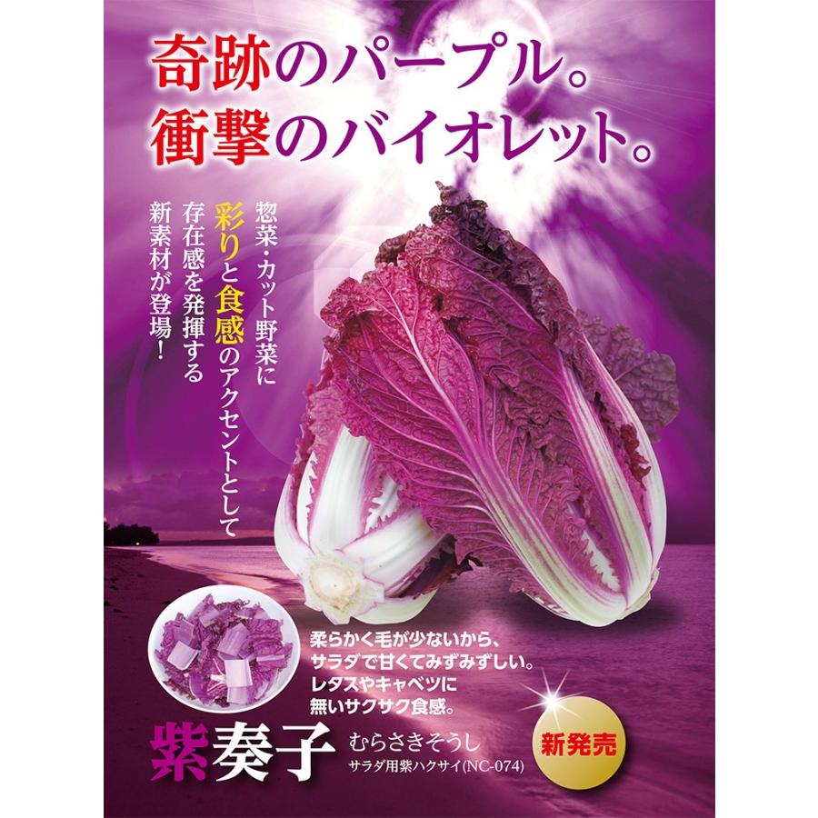 93 Off 送料無料 紫奏子 白菜 40粒 野菜種子 小袋 ナント種苗 ネコポス Whitesforracialequity Org