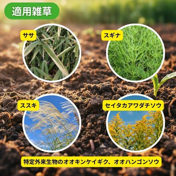 ネコソギトップF 3kg×6個 除草剤 レインボー薬品 ネコソギトップW後継