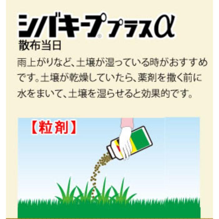 シバキーププラスα 4.2kg×4個 ケース販売 レインボー薬品_1