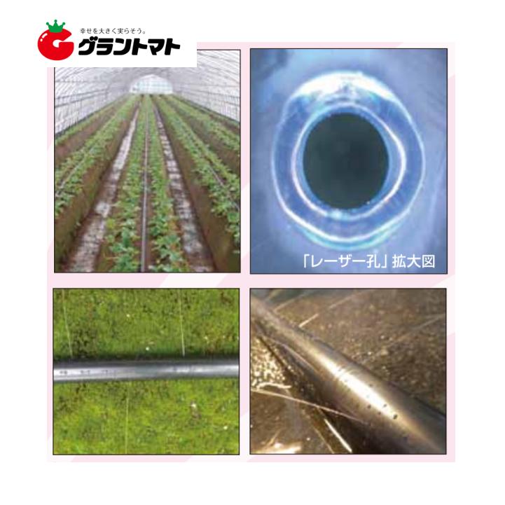 セフティ 灌水チューブ 青 片面 P150 0.2mm×50mm×200m 5個入り