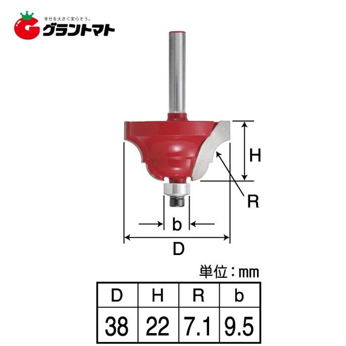 EARTH MAN　　ギンサジ面ビット３８ｍｍ　ＴＲＢＰ−１９高儀【取寄商品】｜grantomato｜03