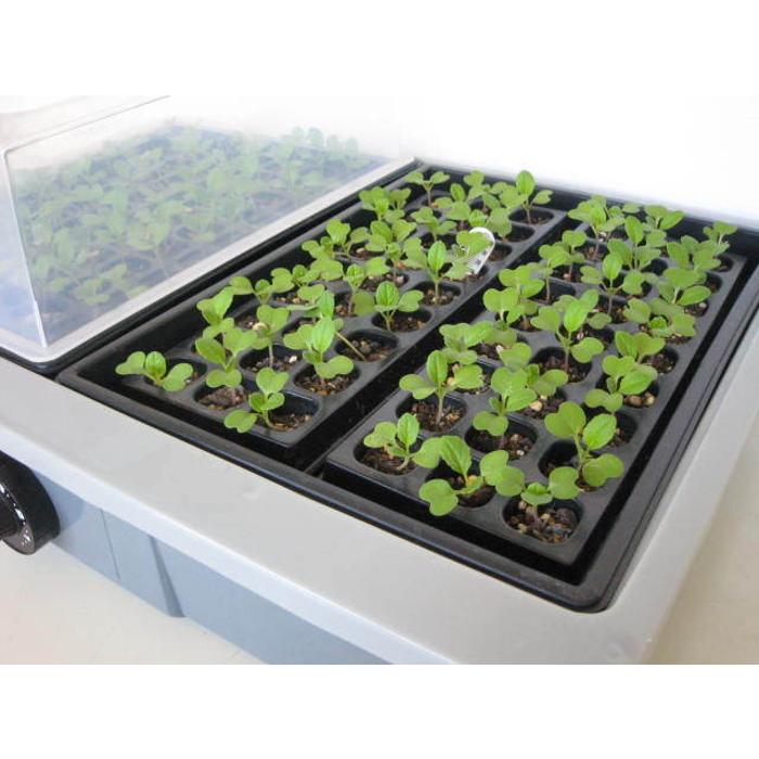愛・菜・花 PG-10 発芽育苗器 愛菜花(あいさいか) サーモスタット内蔵