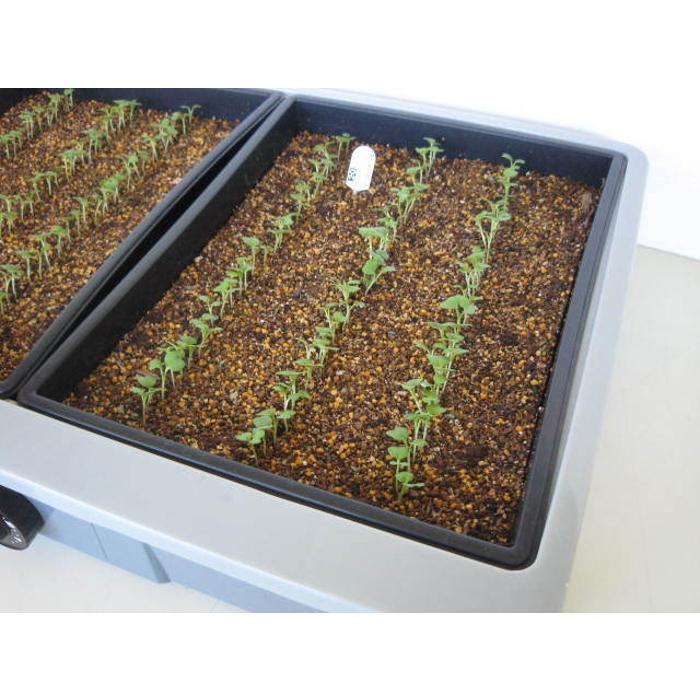 愛・菜・花 PG-10 発芽育苗器 愛菜花(あいさいか) サーモスタット内蔵