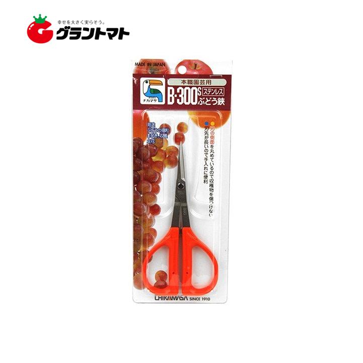 本職園芸用 ステンレスぶどう鋏 B-300S 155mm 近正【取寄商品】 爆買