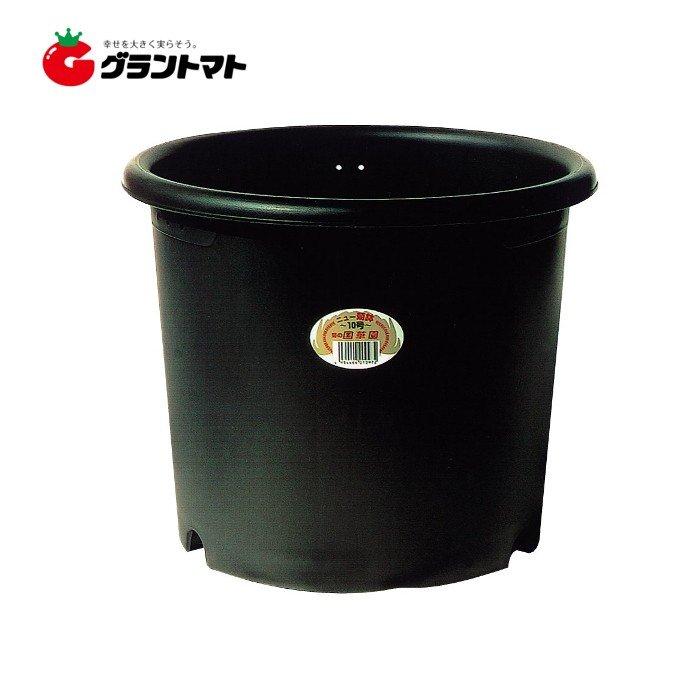 ニュー菊鉢 10号 国華園 : グラントマトYahoo!ショッピング店 - 通販