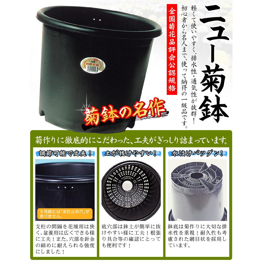 ニュー菊鉢 10号 国華園 : グラントマトYahoo!ショッピング店 - 通販