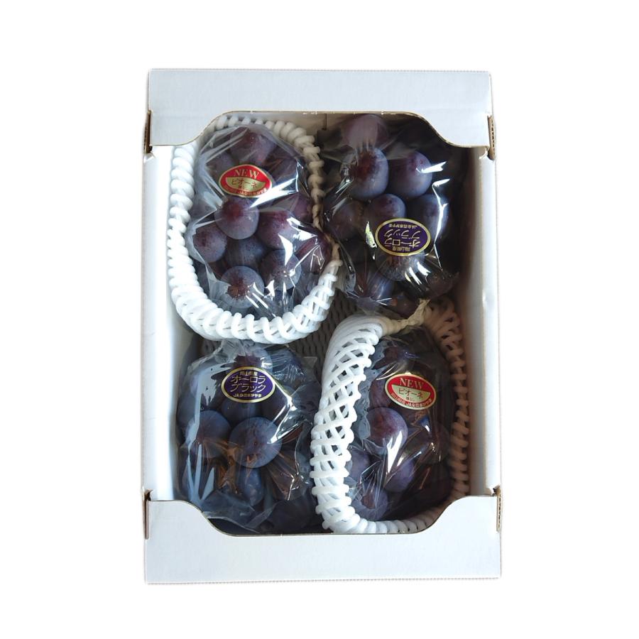 ピオーネ＆オーロラブラック 2kg(各2房ずつ) ちょっと訳あり《岡山県産 大粒 種無し ぶどう 朝採り》