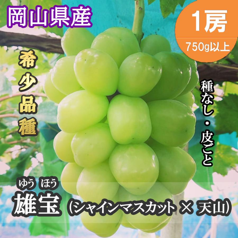 ＜送料無料＞岡山産 　超特大　雄宝ぶどう 1.2kg以上 　1房入 家庭用雄宝（ゆうほう）ぶどう2房入1.7キロ以上 薄皮ジューシー 一粒の
