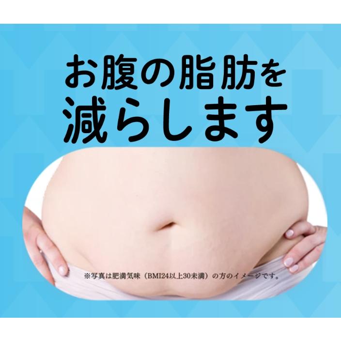 グラフィコ（GRAPHICO） サプリメント お腹の脂肪！28粒×2個セット