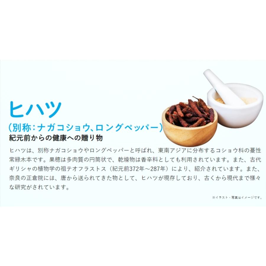 グラフィコ（GRAPHICO） サプリメント お腹の脂肪！28粒 サプリ なかっ