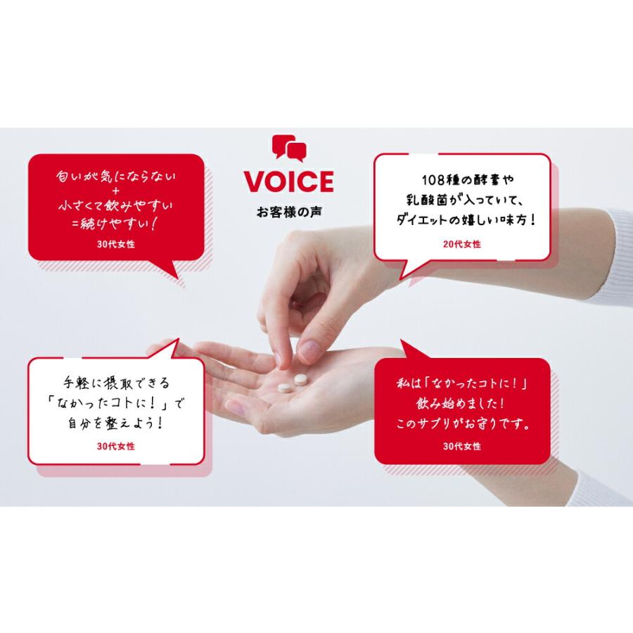 グラフィコ サプリメント マルチビタミン なかったコトに VM グラフィコ サプリメント マルチビタミン なかったコトに VM