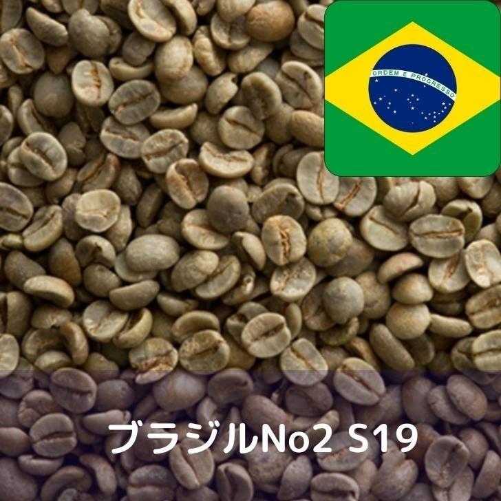 コーヒー生豆 10kg ブラジルNo2 S19 : YAMATO屋 ヤフー店 - 通販  