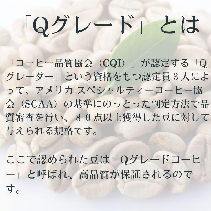 コーヒー生豆 タンザニア AA スノートップ Qグレード 10kg 送料無料 コーヒー豆 自家焙煎 ギフト お中元 ドリップ 通販 